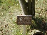 image of grave number 904415